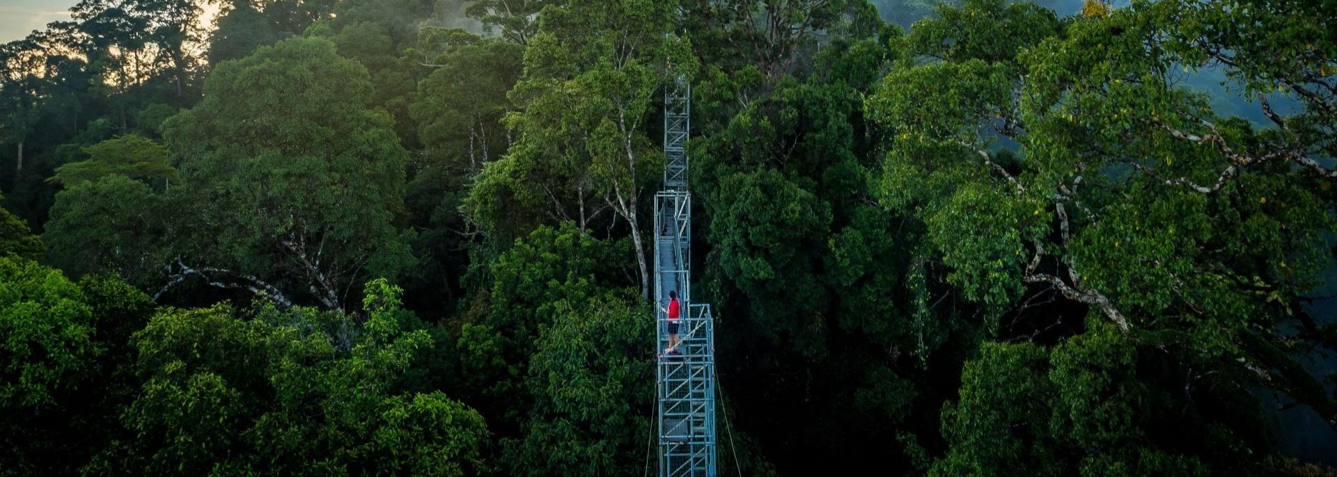 Ulu Temburong Park. Photo courtesy of Brunei Darussalam's Ministry of Finance and Economy.